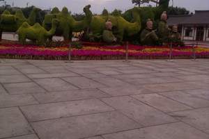 曲江江旅游度假区